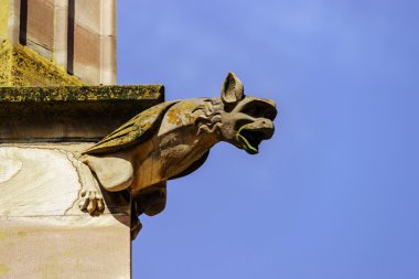 Gargoyle üzerinde Gotik Katedrali, bir kule mavi gökyüzü ba detay
