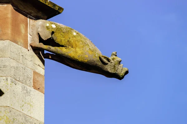 Gargoyle on a gothic cathedral, detail of a tower on blue sky ba — Stock Photo, Image