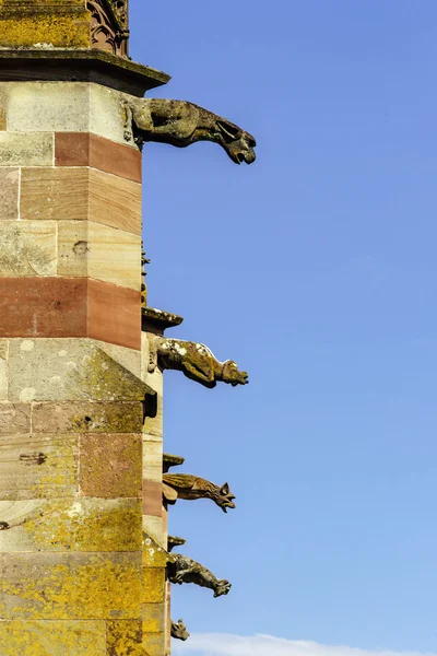 Gargoyle på en gotisk katedral, detalj av ett torn på blå himmel ba — Stockfoto