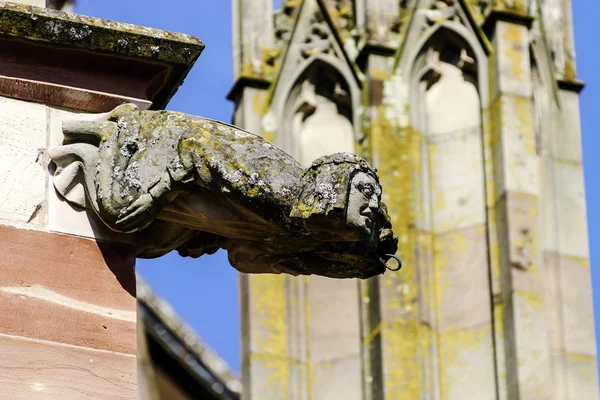 Gargoyle on a gothic cathedral, detail of a tower on blue sky ba