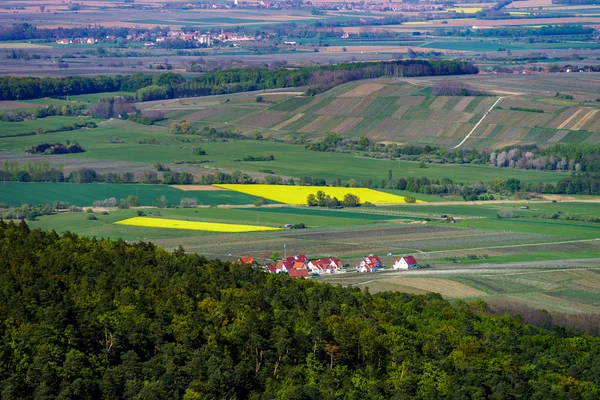 Panoramic view from high point to the valley — Stok fotoğraf