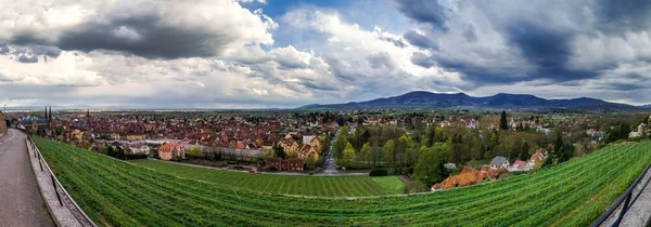 Obernai ciudad panorámica amplia visión general — Foto de Stock