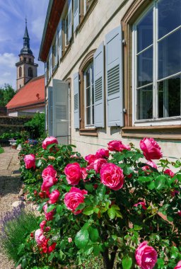 Botanik Bahçe çiçeği çiçeklerle Andlau, Alsace