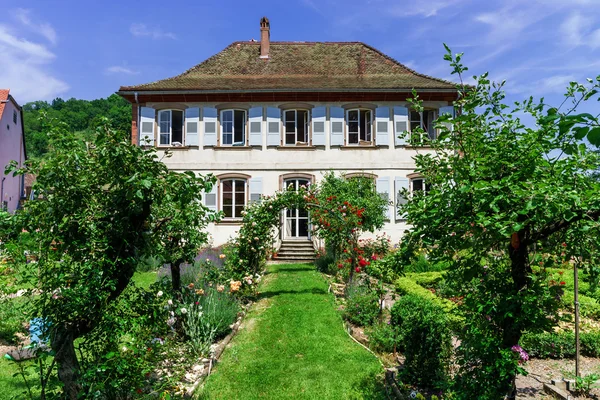 Botanic garden with blossom flowers, Andlau, Alsace — Stock Photo, Image