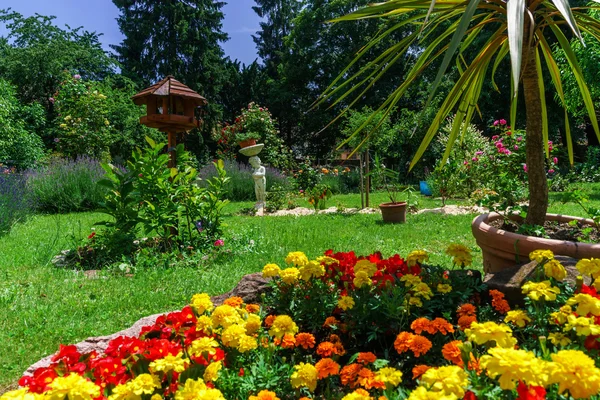 Botanic garden with blossom flowers, Andlau, Alsace — Stock Photo, Image