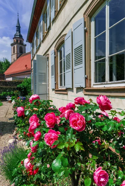 Botanischer Garten mit blühenden Blumen, andlau, Elsass — Stockfoto