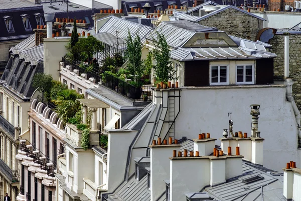 Panoramisch overzicht van de daken van Parijs bij zomerdag — Stockfoto