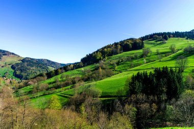 Schwarzwald dağlar bahar bakış, güneşli bir gün