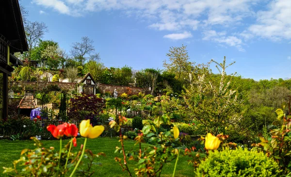 Çiçeği Lale Bahçe, bahar zaman — Stok fotoğraf