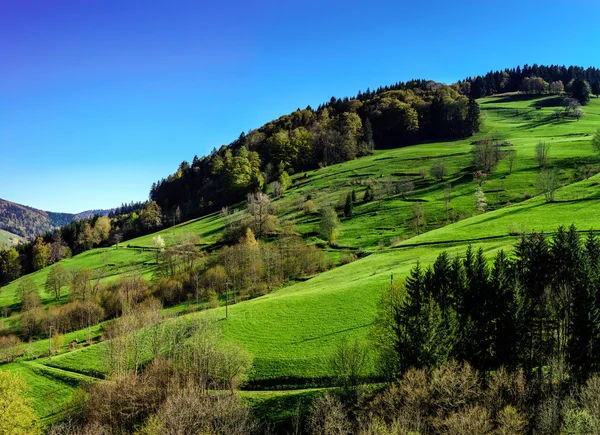 Widok wiosna w górach Schwarzwald, słoneczny dzień — Zdjęcie stockowe