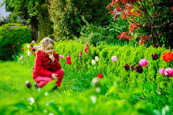 Liten flicka att lukta tulpaner i trädgården — Stockfoto