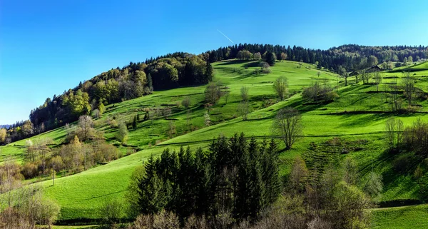 Widok wiosna w górach Schwarzwald, słoneczny dzień — Zdjęcie stockowe