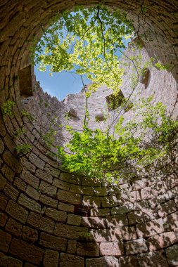 Chateau Landsberg derin ormandaki yaşlı ortaçağ kalesi kalıntıları