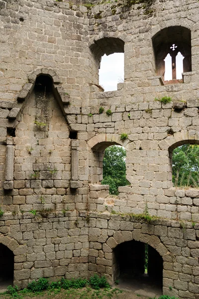 Chateau Spesbourg derin ormandaki yaşlı ortaçağ kalesi kalıntıları — Stok fotoğraf