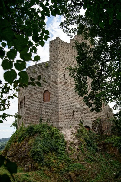 Oude ruïnes van de middeleeuwse vesting van Chateau Spesbourg in diepe bossen — Stockfoto