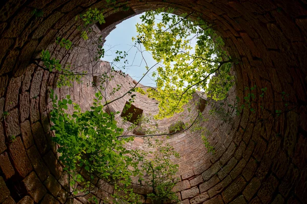 Velhas ruínas da fortaleza medieval de Chateau Landsberg na floresta profunda — Fotografia de Stock