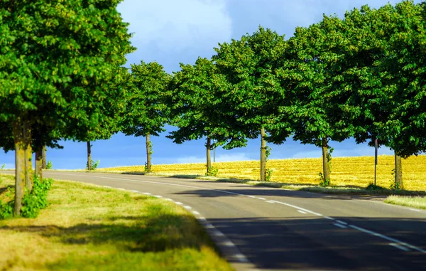 Automobile asfalt road perspektivvy, landsbygdens plats — Stockfoto