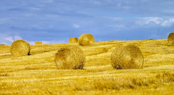 Gün batımında haystacks ile güzel sarı tepe — Stok fotoğraf