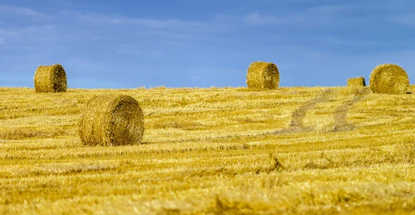 Gün batımında haystacks ile güzel sarı tepe — Stok fotoğraf