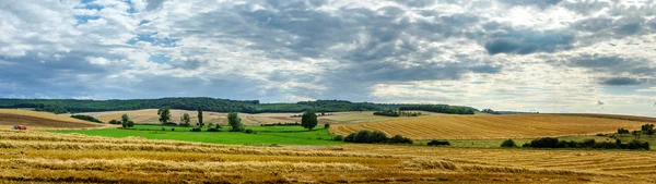 Large vue panoramique sur le champ coloré, la nature et l'agriculture — Photo