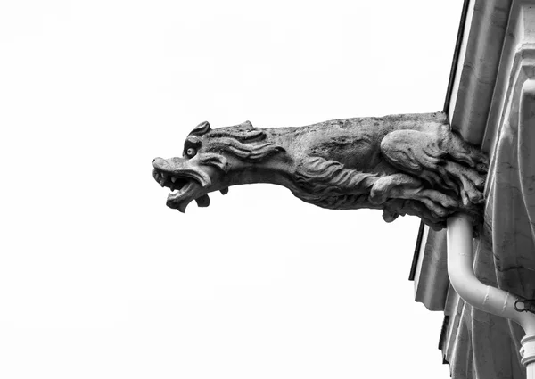 Красива тварина Ґарґойл на середньовічній церкві — стокове фото