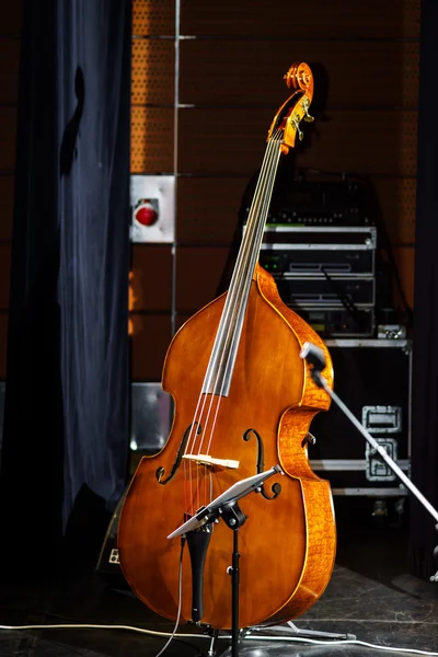 Big bass viol on the scene before the concert — Stock Photo, Image