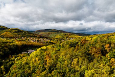 Vosges 'deki çok renkli bir vadiden bir dron yükseliyor. Sarı, turuncu, kırmızı ağaçlar. Çok renkli sonbahar üzüm bağları. Güneşli tepeler.