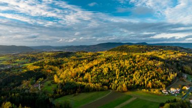 Vosges 'deki çok renkli bir vadiden bir dron yükseliyor. Sarı, turuncu, kırmızı ağaçlar. Çok renkli sonbahar üzüm bağları. Güneşli tepeler.
