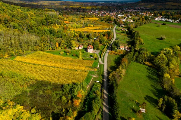 Dron Eleva Por Encima Valle Multicolor Los Vosgos Coronas Amarillas — Foto de Stock