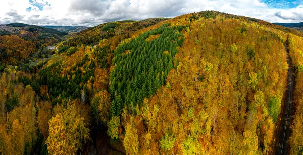 Uma Vista Drone Uma Floresta Enferrujada Cores Outono Vistas Incríveis — Fotografia de Stock