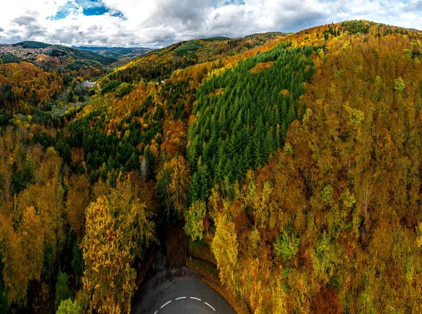 Widok Drona Zardzewiałego Lasu Jesienne Kolory Niesamowite Widoki Góry Wogezów — Zdjęcie stockowe