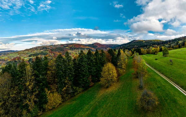 一架无人驾驶飞机在Vosges的一个五颜六色的山谷上空盘旋 红色树冠 五彩缤纷的秋天葡萄园 阳光下的小山 — 图库照片