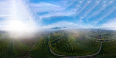 İnsansız hava aracı, Vosges eteklerinin büyüleyici genişliğinin 360 derecelik panoramik görüntüsü. Sabah sisinde sonbahar üzüm bağları. Fransa.