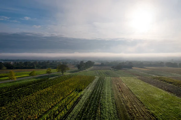 Uma Vista Drone Deslumbrante Extensão Dos Contrafortes Vosges Vinhedos Outono — Fotografia de Stock