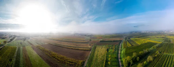 ヴォージュの丘陵地帯の見事な広がりの無人偵察機のパノラマビュー 朝の霧の中で秋のブドウ畑 フランス — ストック写真
