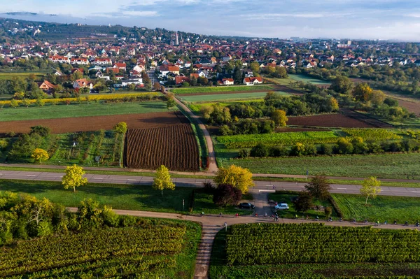 Drone View Stunning Expanse Vosges Foothills Autumn Vineyards Morning Fog — Stock Photo, Image