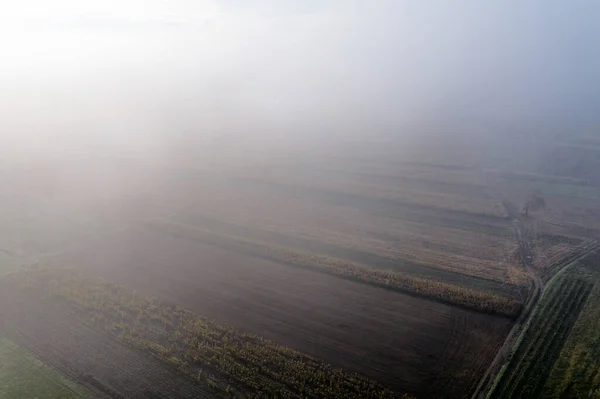 Egy Drónkép Vosges Hegység Lenyűgöző Kiterjedéséről Őszi Szőlőskertek Reggeli Ködben — Stock Fotó