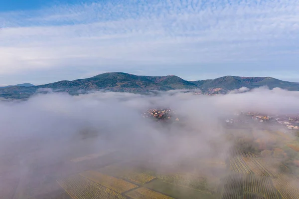 ヴォージュの丘陵地帯の見事な広がりのドローンビュー 朝の霧の中で秋のブドウ畑 フランス — ストック写真