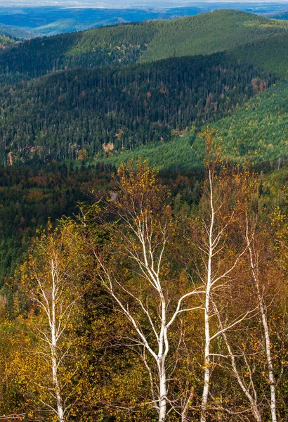 从山顶到阿尔萨斯秋天的沃斯山脉的景色 秋天的色彩和惊人的空间和自由在身边 — 图库照片