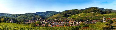 Alsace 'deki muhteşem Andlau köyünün panoramik manzarası. Olgunlaşmış üzümlü yamaçlar. Vosges dağlarının manzarası harika. Idyll ve zarafet.