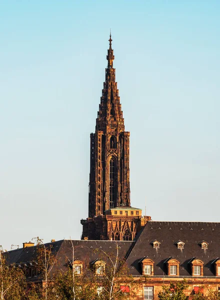 Majestuosa Catedral Estrasburgo Eleva Sobre Ciudad Francia — Foto de Stock