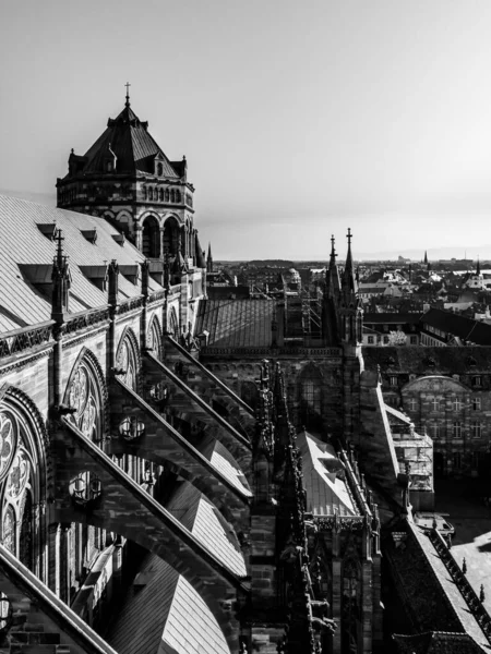 Buttresses Other Gothic Elements Tallest Cathedral Strasbourg France — Stock Photo, Image