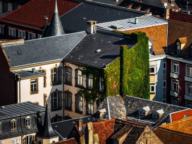 Strasbourg şehrinin havadan görünüşü. Güneşli bir gün. Kırmızı kiremitli çatılar. Asma katlı evler.
