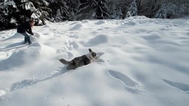 Girl Plays Corgi Dog Snow Nature Snow Covered Trees Sun — Stock Video