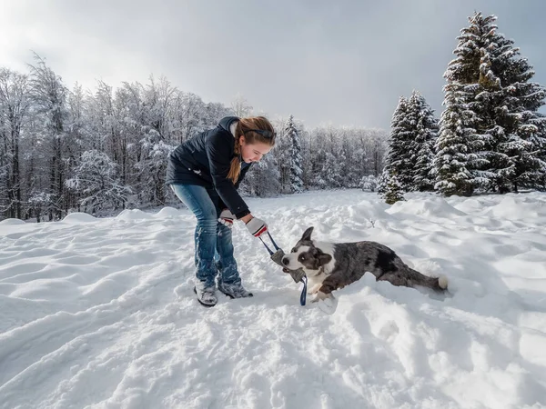 Karlı Bir Ormanda Bir Kız Bir Corgi Köpeğiyle Oynuyor Güneş — Stok fotoğraf