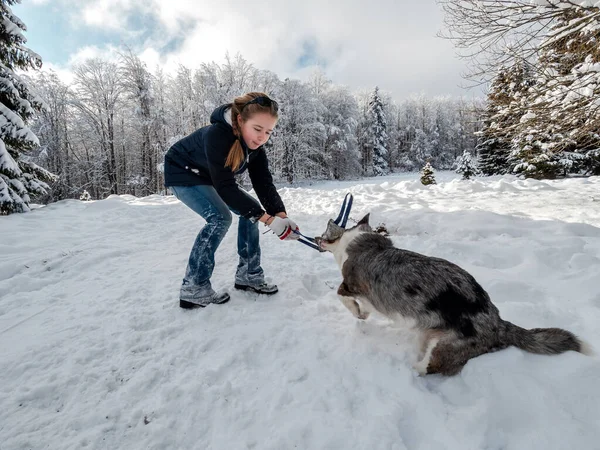 Seorang Gadis Bermain Dengan Anjing Corgi Hutan Bersalju Sinar Matahari — Stok Foto