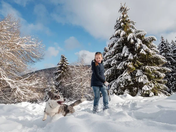 Ένα Κορίτσι Παίζει Ένα Σκύλο Ένα Χιονισμένο Δάσος Ηλιακό Φως — Φωτογραφία Αρχείου