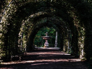 Strazburg şehrinde sonbaharın çarpıcı renkleri. Renkli yapraklar, sıcak güneş ışığı. Çiçek açan parklar.