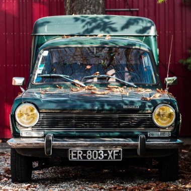 Strazburg şehrinde sonbaharın çarpıcı renkleri. Renkli yapraklar, sıcak güneş ışığı. Çiçek açan parklar.