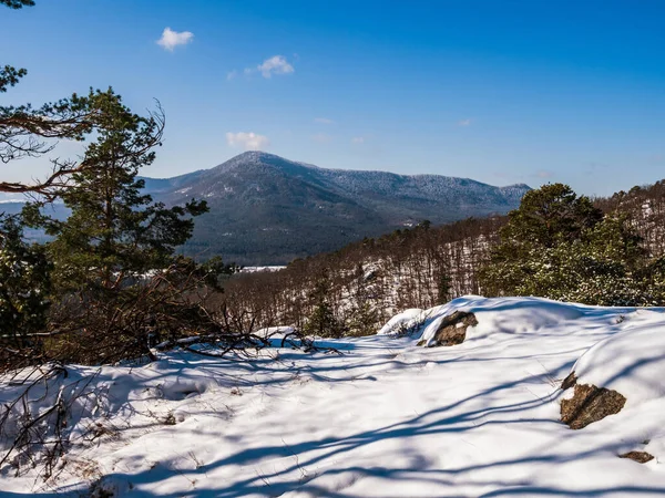 Stunning Beautiful Winter Forest Wildest White Snow Vosges Mountains France — Zdjęcie stockowe